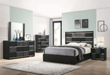 Blacktoft Black Queen Panel Bed - Ornate Home