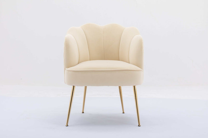 Annadel Teddy Velvet Creme White Accent Chair w/ Gold Legs