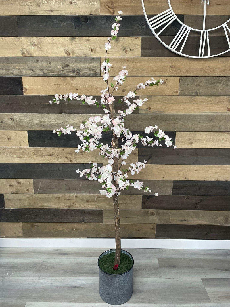 Small Pink Cherry Blossom / 5’ - Ornate Home