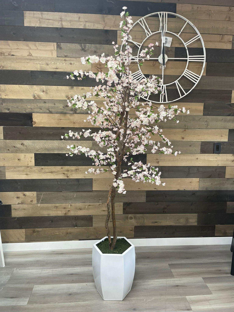 Cherry Tree / 6.5’ - Ornate Home