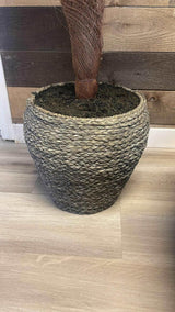 Birds Nest Tree in Grey Basket / 6’ - Ornate Home