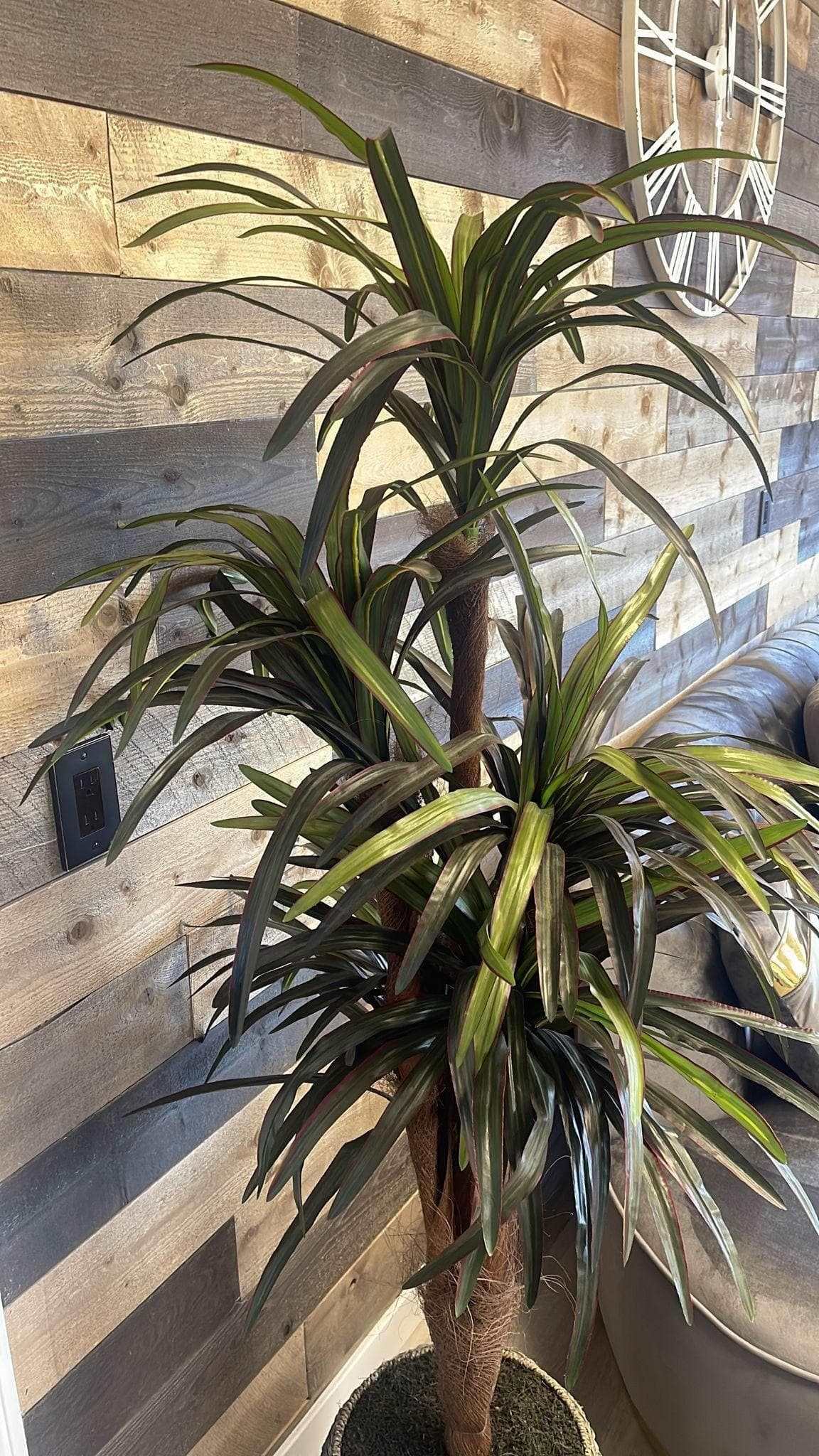 Birds Nest Tree in Grey Basket / 6’ - Ornate Home