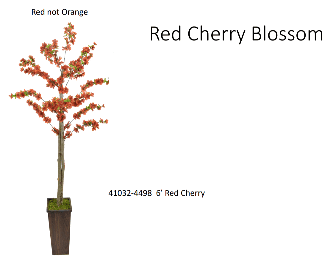 Red Cherry Blossom / 6’ - Ornate Home