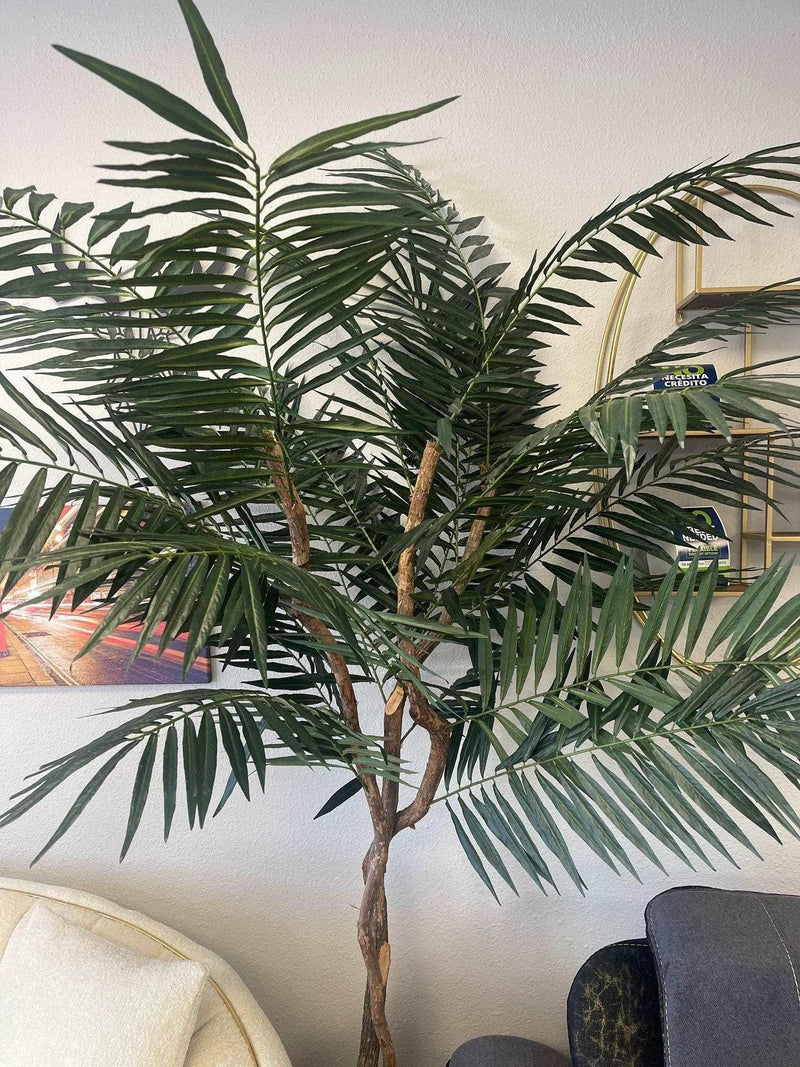 Deluxe Palm in Basket / 7’ - Ornate Home