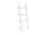Amaturo Clear Acrylic Ladder Bookcase - Ornate Home