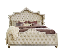 Antonella Ivory & Camel 5pc Queen Panel Bedroom Set - Ornate Home