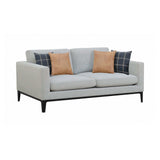Apperson Light Grey Stationary Sofa - Ornate Home