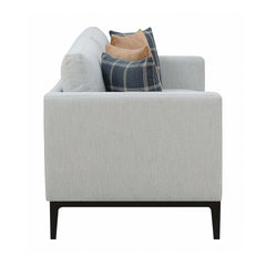 Apperson Light Grey Stationary Sofa - Ornate Home