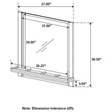 Azalia Black & Walnut Mirror w/ Jewelry Tray - Ornate Home