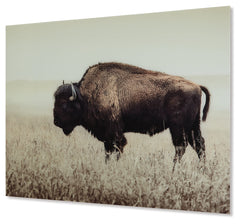 Brutus Wall Art - Ornate Home