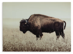 Brutus Wall Art - Ornate Home
