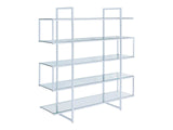 Caiden Chrome & Clear Bookcase - Ornate Home