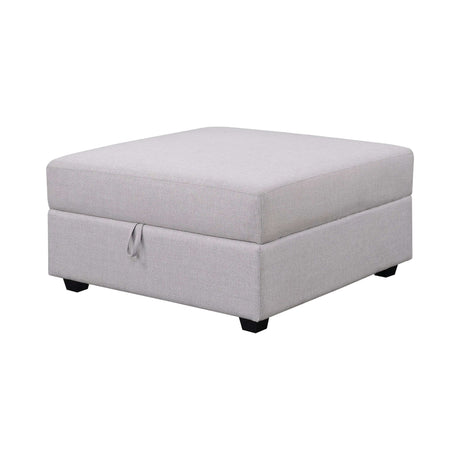 Cambria Grey Storage Ottoman - Ornate Home