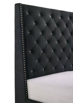 Chantilly Black Velvet Upholstered Queen Bed - Ornate Home
