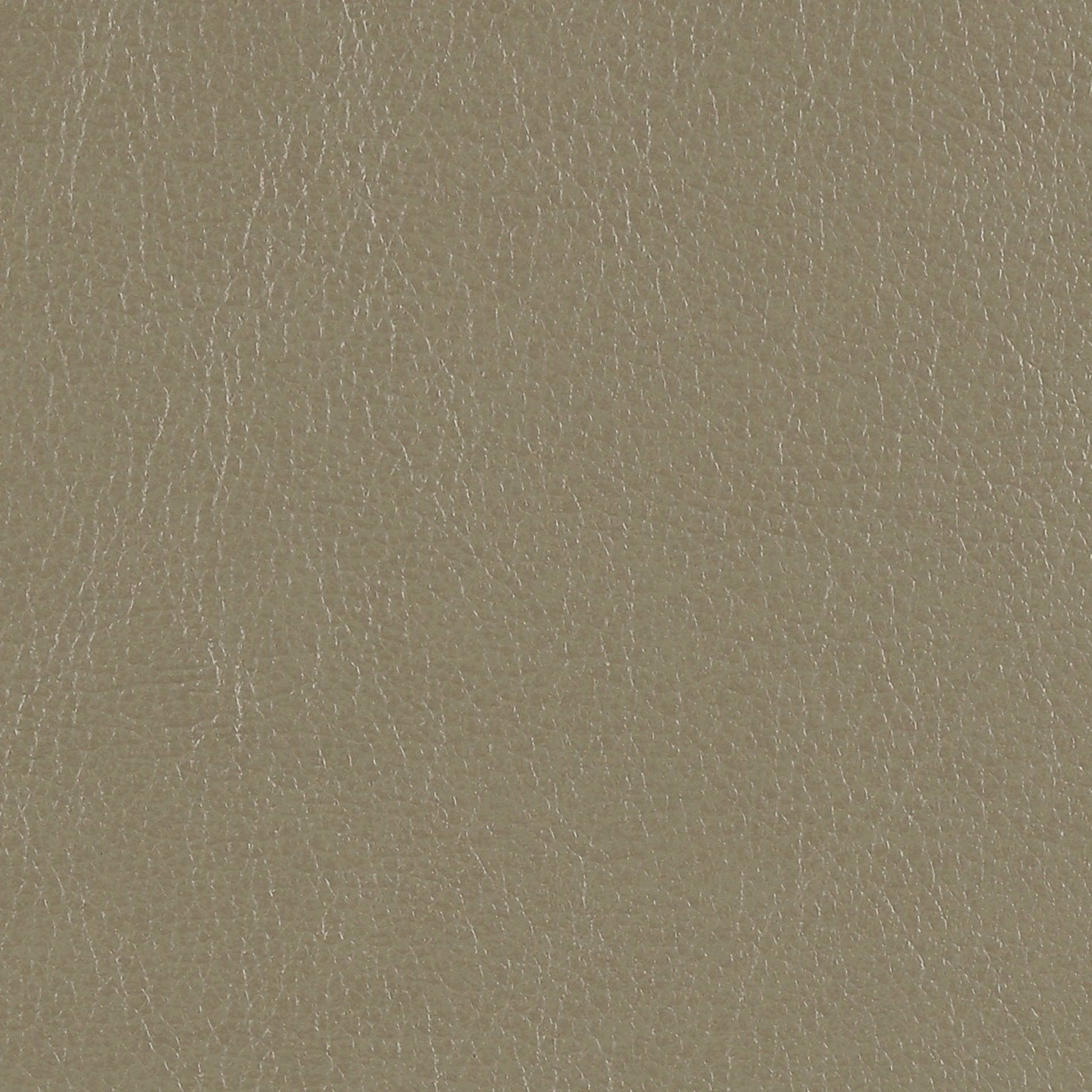 Chaviano Pearl White 2pc Stationary Living Room Set - Ornate Home