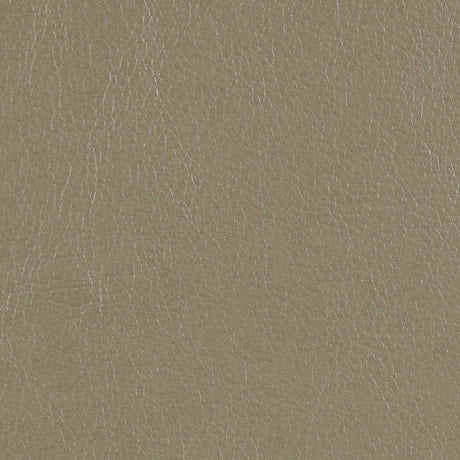 Chaviano Pearl White 2pc Stationary Living Room Set - Ornate Home