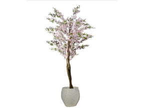 Cherry Tree / 6.5’ - Ornate Home