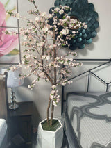 Cherry Tree / 6.5’ - Ornate Home