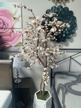 Cherry Tree / 6.5’ - Ornate Home