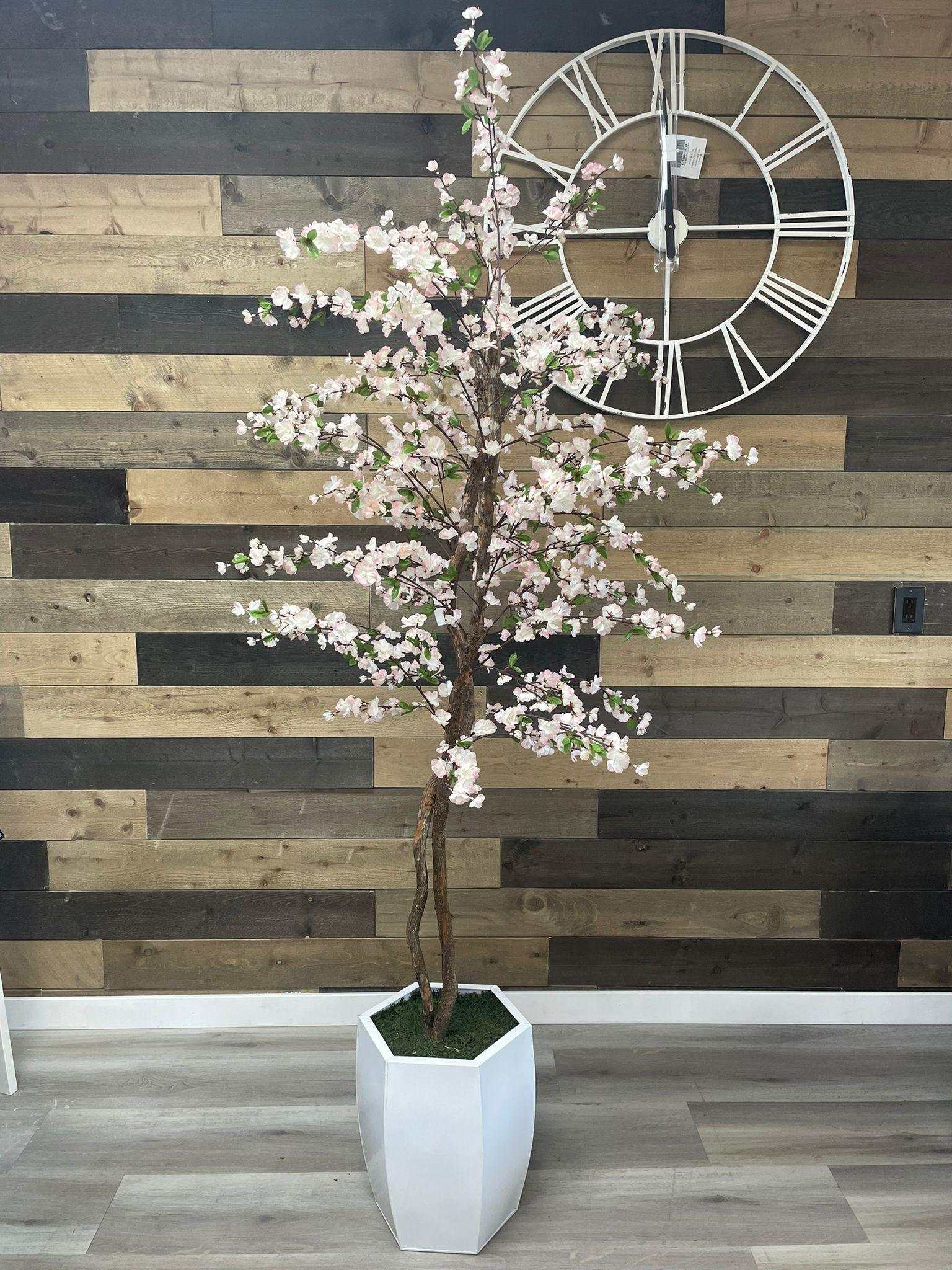 Cherry Tree / 6.5’ - Ornate Home