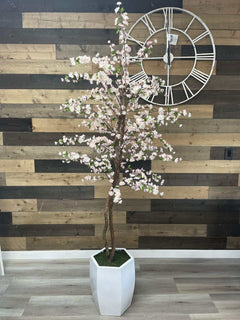 Cherry Tree / 6.5’ - Ornate Home