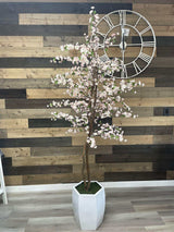 Cherry Tree / 6.5’ - Ornate Home