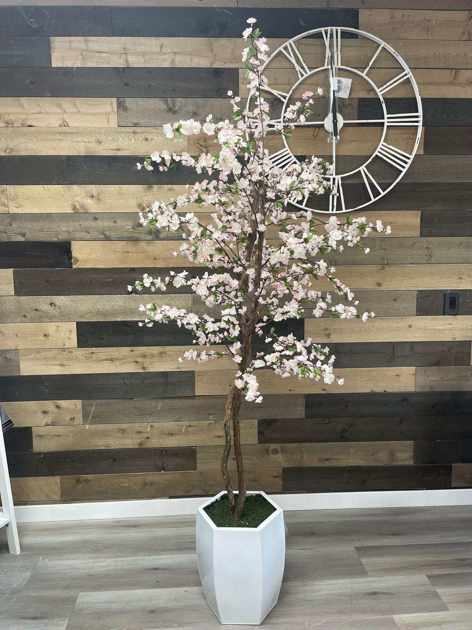 Cherry Tree / 6.5’ - Ornate Home