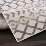 Crystal Gray/Cream Modern Boho Indoor Non Slip Area Rugs - Ornate Home