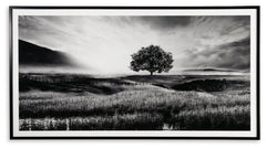 Deborland Wall Art - Ornate Home