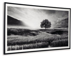 Deborland Wall Art - Ornate Home
