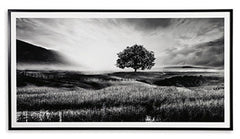 Deborland Wall Art - Ornate Home