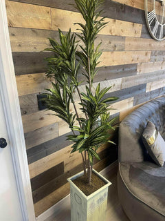 Deluxe Yucca in Metal / 6’ - Ornate Home