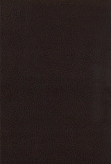 Dewey Walnut / Brown Counter Stool (Set of 2) - Ornate Home