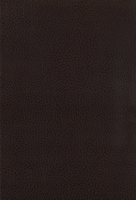 Dewey Walnut / Brown Counter Stool (Set of 2) - Ornate Home