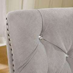 Diocles Silver & Gray Dining Chair (Set of 2) - Ornate Home