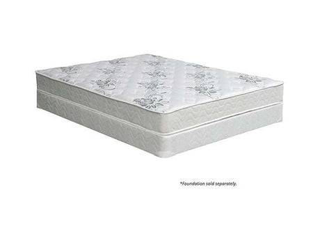 Elbertyna White 8" Tight Top Full Mattress - Ornate Home