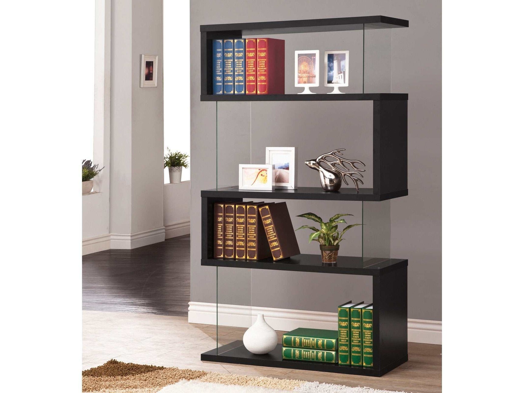 Emelle Black & Clear Bookcase - Ornate Home
