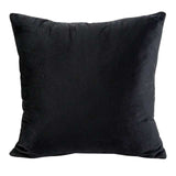 Evadne Black Chair w/ Pillow - Ornate Home