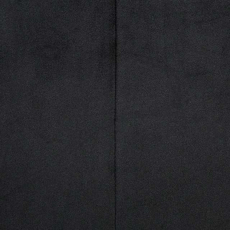 Evadne Black Chair w/ Pillow - Ornate Home