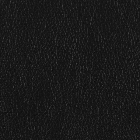 Finley Black Stationary Loveseat - Ornate Home