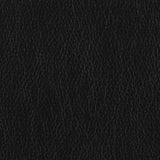 Finley Black Stationary Sofa - Ornate Home