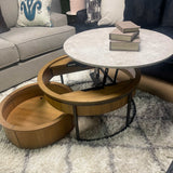 Fridley Nesting Lift Top Coffee Table & Storage Trunk (Set of 2) - Ornate Home