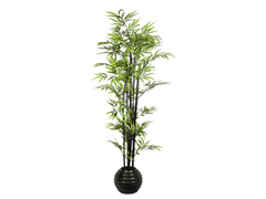 Green Bamboo / 6’ - Ornate Home