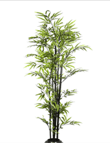 Green Bamboo / 6’ - Ornate Home