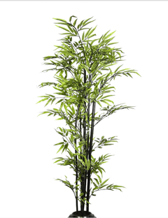 Green Bamboo / 6’ - Ornate Home