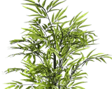 Green Bamboo / 6’ - Ornate Home