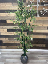 Green Bamboo / 6’ - Ornate Home