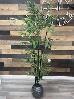 Green Bamboo / 6’ - Ornate Home