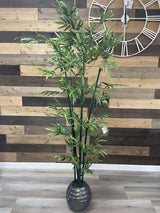 Green Bamboo / 6’ - Ornate Home