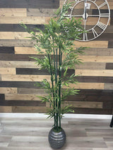 Green Bamboo / 6’ - Ornate Home